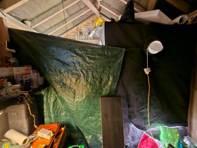 round 2 — flower, day 54