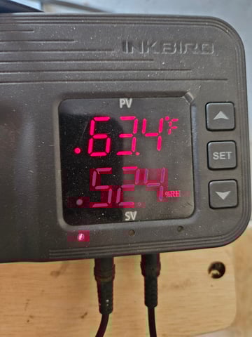 BLACKCHERRY SHERB — flower, day 64