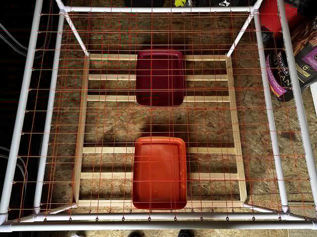 Judgement Day — grow_setup, day 1