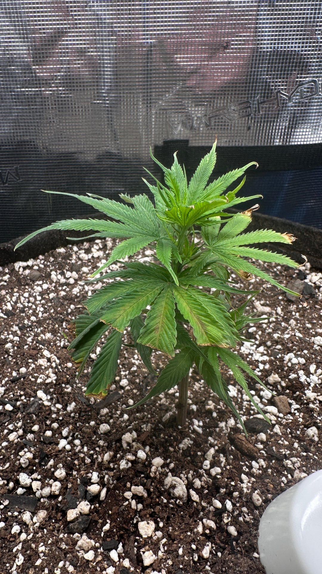 First photo from clone 