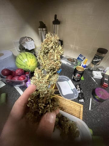 3autos and 2 fem  — done, day 125