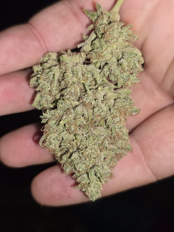 3rd Auto Grow — flower, day 148