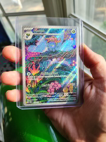 Autoflower grow. my first grow  — flower, day 61