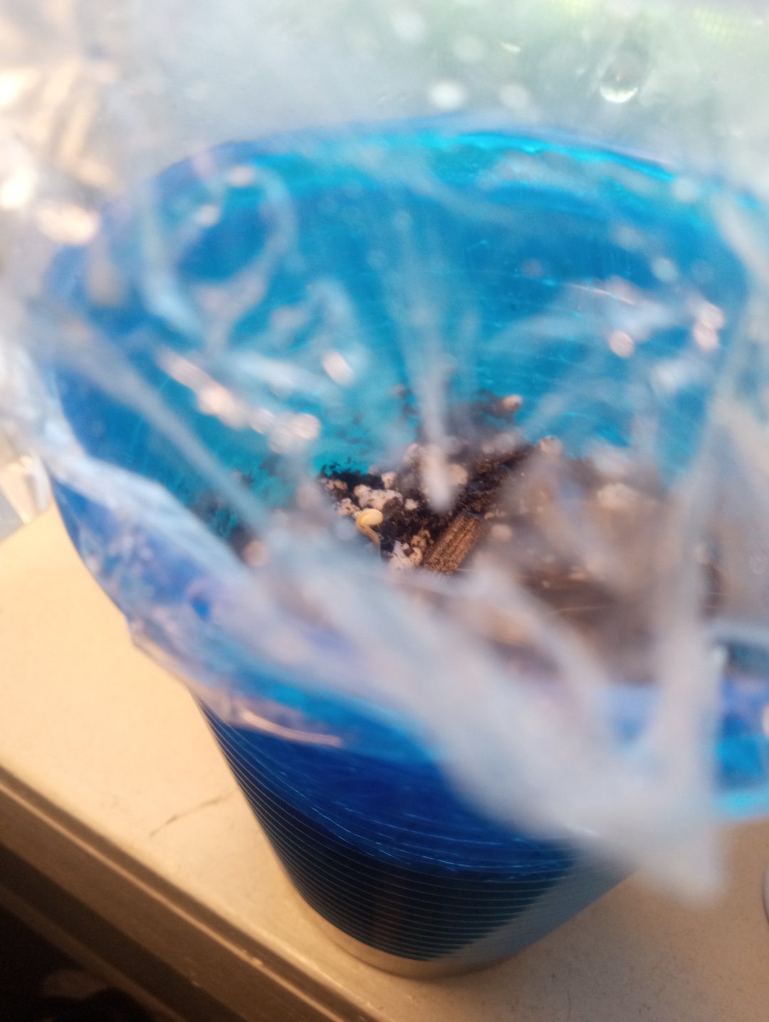  auto mixed pack indoor attempt #1