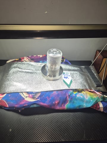 I'll get it right — germination, day 1