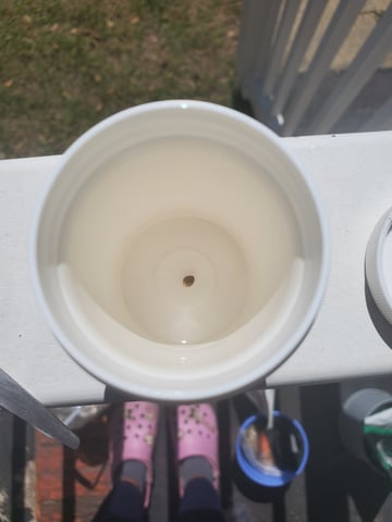 Seed-2 — grow_setup, day 2