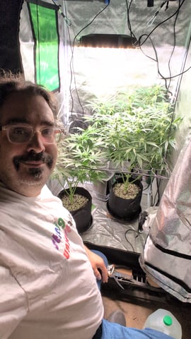 Grow 1 — flower, day 50