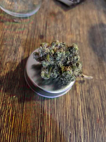 new bee's  — vegetative, day 75