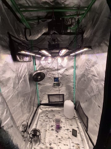 zlurricane blast — grow_setup, day 1