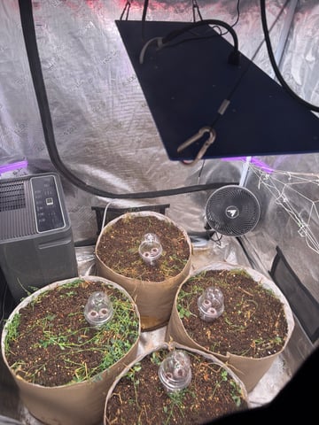 Round 2 — grow_setup, day 1