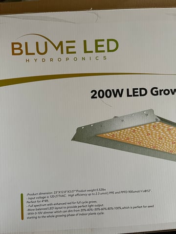 Lavender and Anesthesia Auto — vegetative, day 29