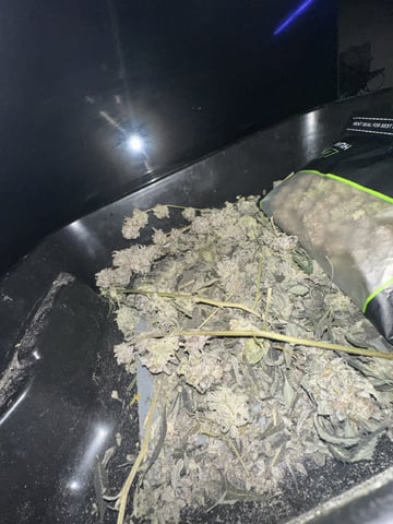 Clones Fat Bastard Clones 