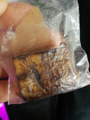 AWC  — grow_setup, day 1