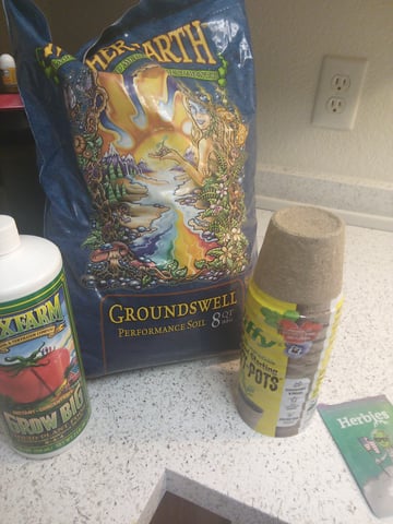 chem#4 — grow_setup, day 1