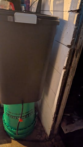 Grow 3 — vegetative, day 21