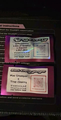 skittlez Autoflower  — seedling_rooting, day 35