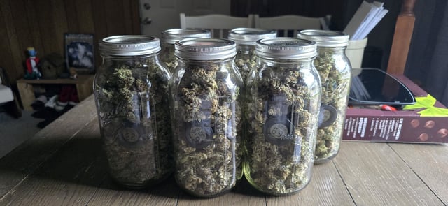 SGC And GWS Clones — done, day 83