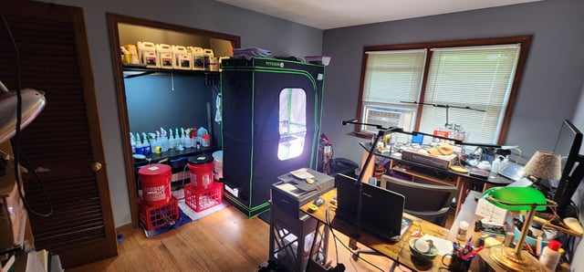 WHAT THE HELL JUST HAPPENED!!! — grow_setup, day 8