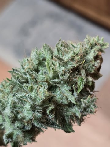 3rd Auto Grow — flower, day 104