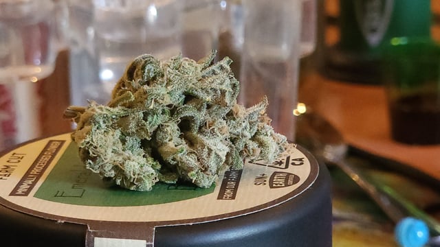 3rd run, 8 plant mom hunt - indoor top fed DTW with rockwool