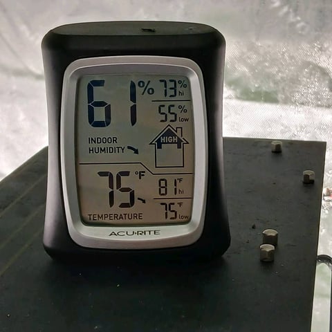 run #3 — vegetative, day 3