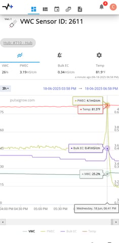 DNA Genetics Kosher Cookies rockwool run round 2 — flower, day 45