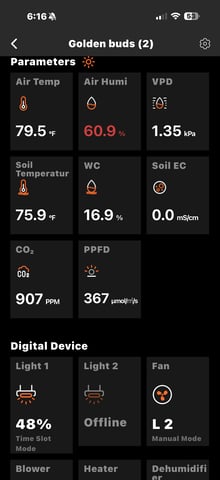  Trying to go big — vegetative, day 69