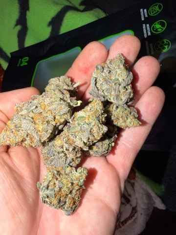 Indoor Grow  — done, day 213