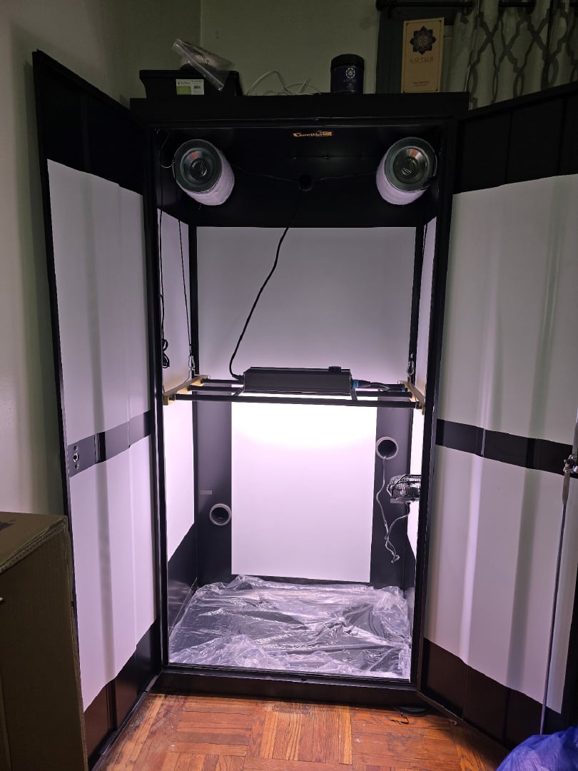 1st Auto Grow (LSD + BrB) - 1st indoor Grow