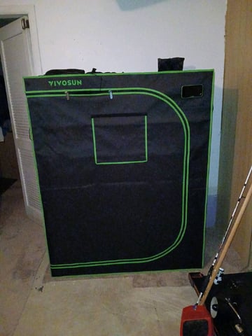 fruity pebbles, cap junky — none, day 8