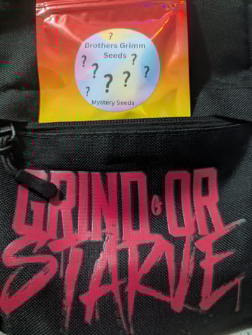 HE1E we GROW  — grow_setup, day 1