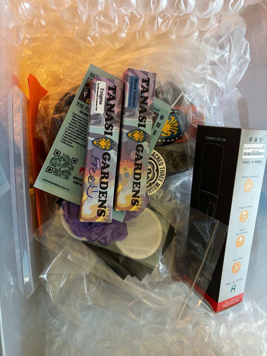 First magic mushroom grow