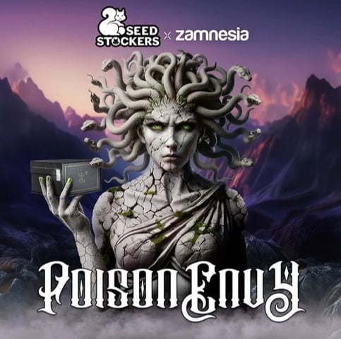 poison envy  — seedling_rooting, day 1