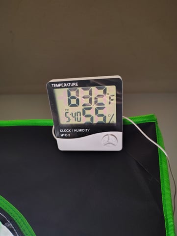 new 1 — seedling_rooting, day 2