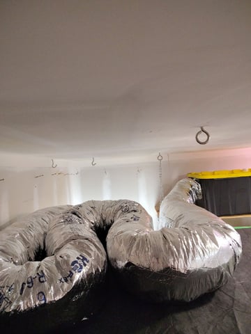 Maui wowie  — grow_setup, day 1