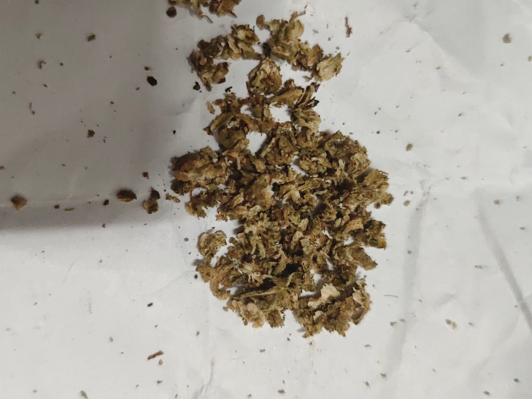 GassyStrain3212
