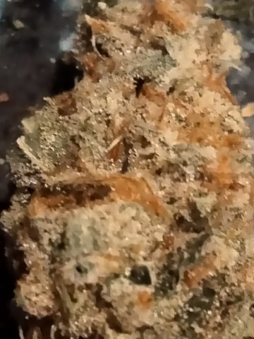 jay seaton  — done, day 103