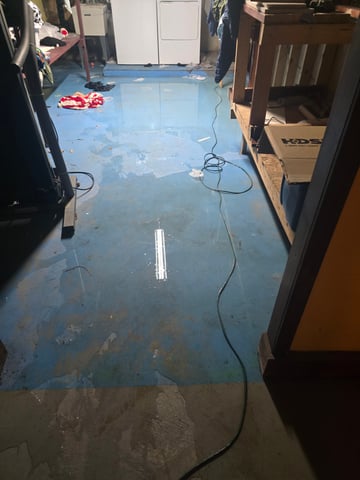 2nd Autoflower Indoor Grow — vegetative, day 26