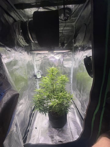 Indoor