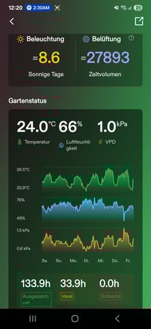 Special Queen 1 Fem+ Watermelon Auto — vegetative, day 32