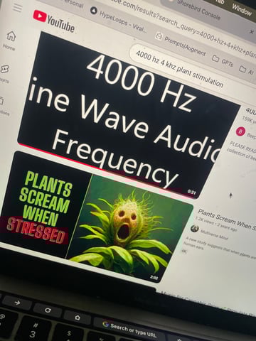 testing — none, day 45