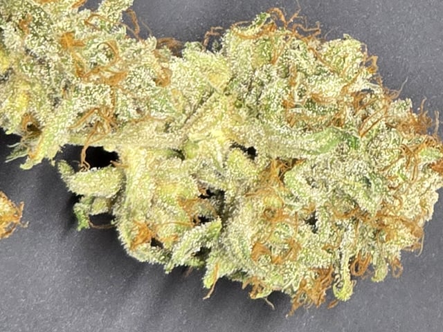 Hydroponic Photos — harvest, day 96