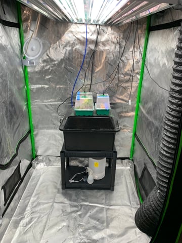 Six  — grow_setup, day 1