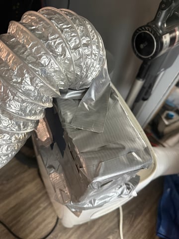 exotic genetix / beleaf cut white truffle  — flower, day 8