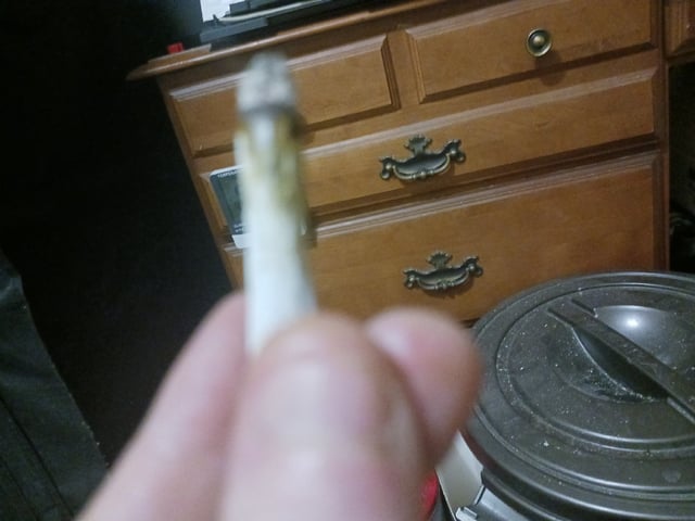 9lbhammer feminized  — harvest, day 74