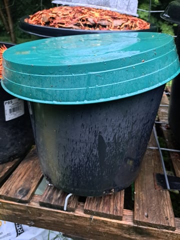 Bucket List Grow #1 — seedling_rooting, day 5