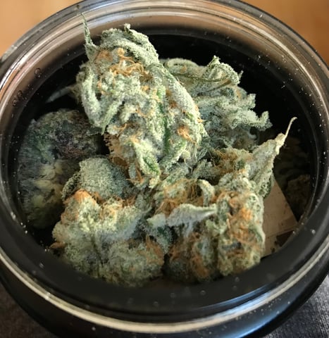 Frozen B.A.G. winter 2025