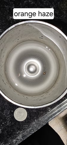 My First Grow — none, day 2