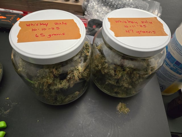 3rd Grow 3x3 tent — harvest, day 105