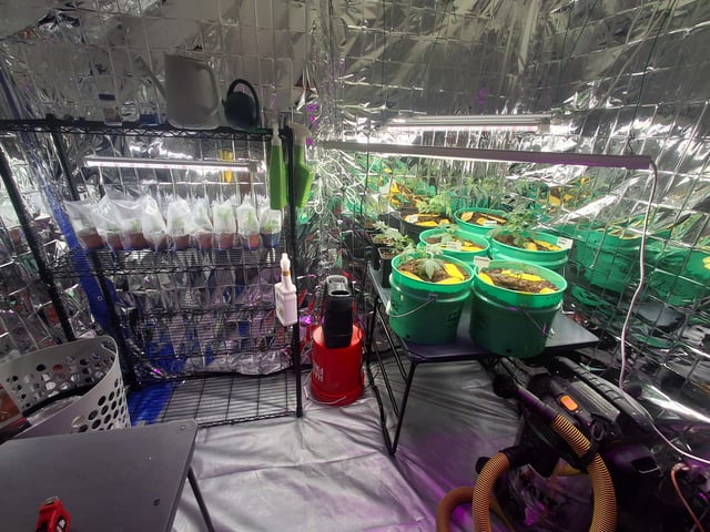 III — grow_setup, day 57